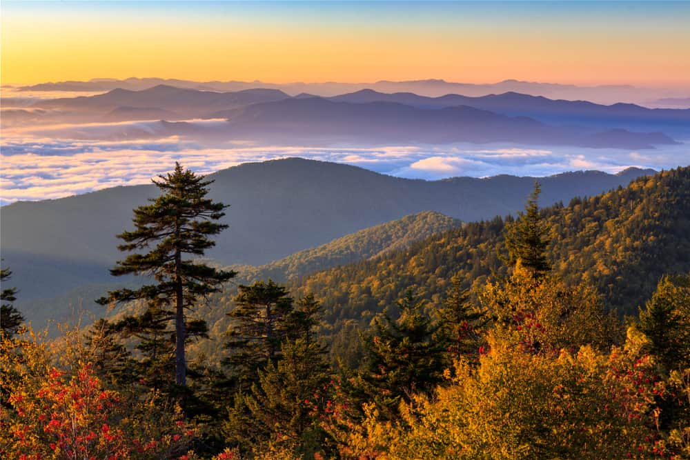 fall foliage at sunrise in the Smokies