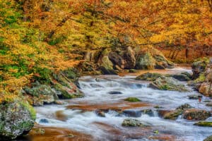 river in the Smoky Mountains during fall