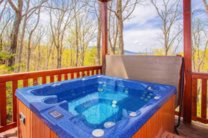and Jacuzzi tub!