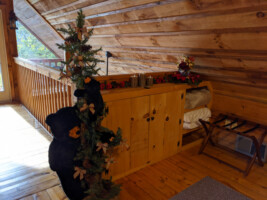 Sonia\'s Bearadise Cabin