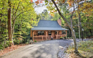 Front View of Cabin and Driveway