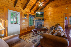 Living room with a cozy gas fireplace.