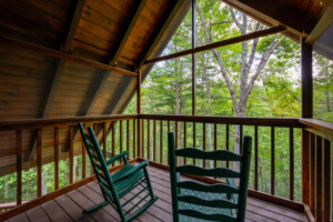 Gypsy Road Wears Valley Log Cabin  - Screen Porch off Master