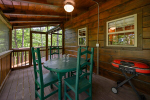 Gypsy Road Wears Valley Log Cabin - Lower Level Covered Deck