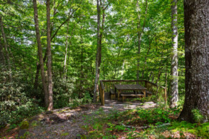 Gypsy Road Wears Valley Log Cabin