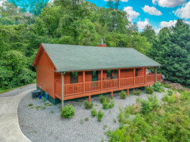 Easy Livin - 2 Bedroom Log Cabin with Hot Tub and Fire Pit