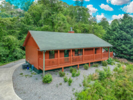 Easy Livin' - 2 Bedroom Log Cabin with Hot Tub and Fire Pit