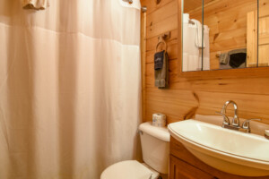 Easy Livin' Log Cabin - Hall Bathroom 