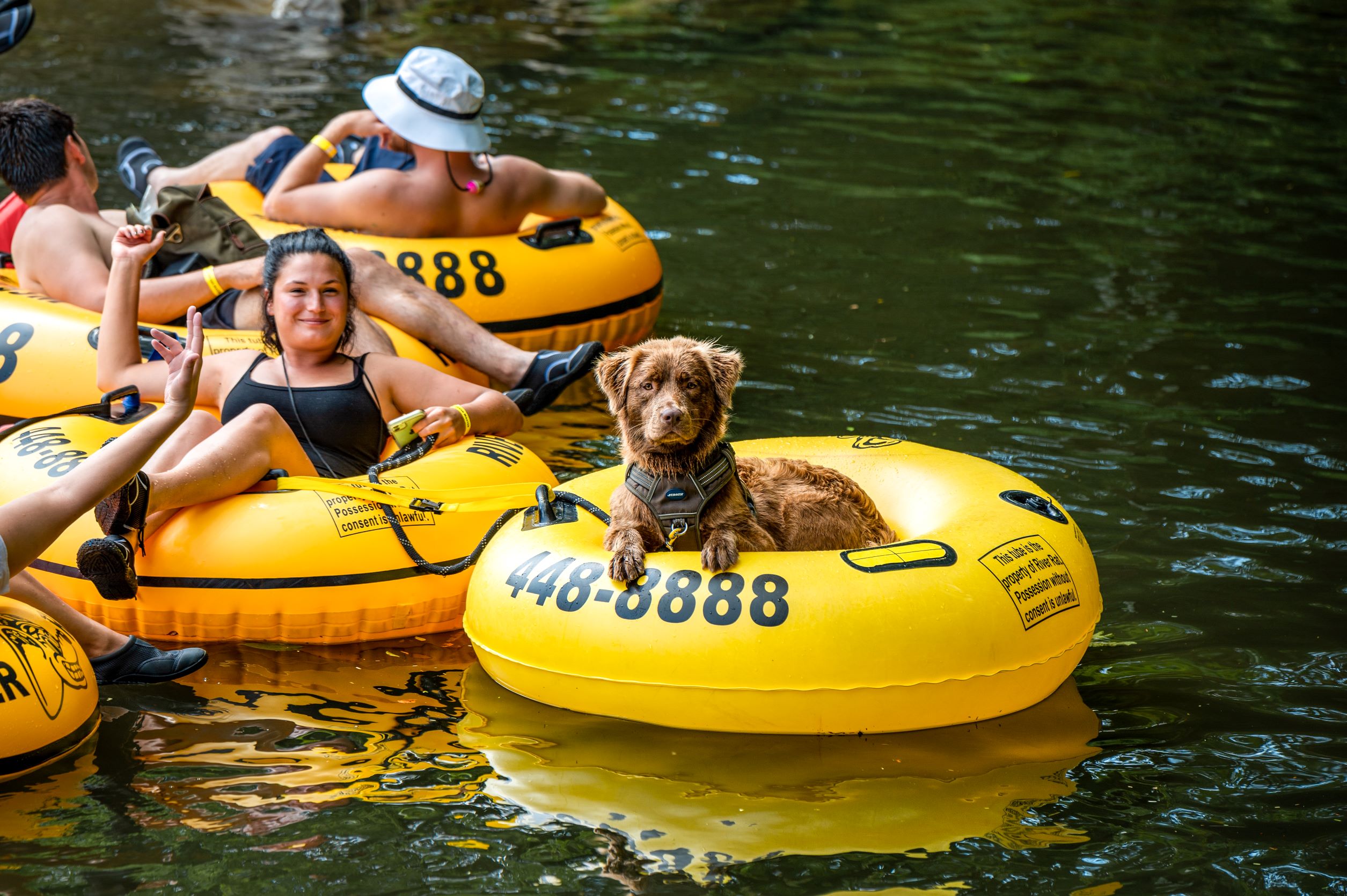 Smoky Mountain River Rat Tubing
