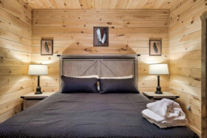 Cozy Mountain Lodge