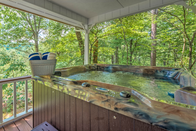 Brand new 2019 Hot tub 