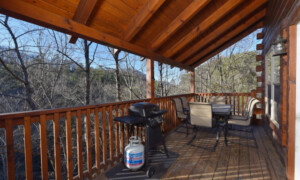 Keatons Wild Animal Cabin