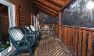 Keatons Wild Animal Cabin