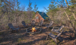 Keatons Wild Animal Cabin