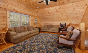 Keatons Wild Animal Cabin
