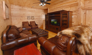 Keatons Wild Animal Cabin