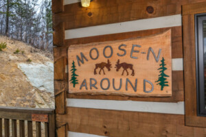 Moose-n Around