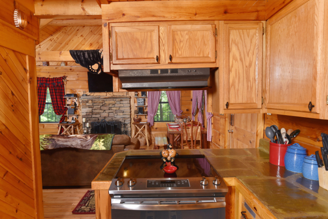 Lazy Bear Cabin