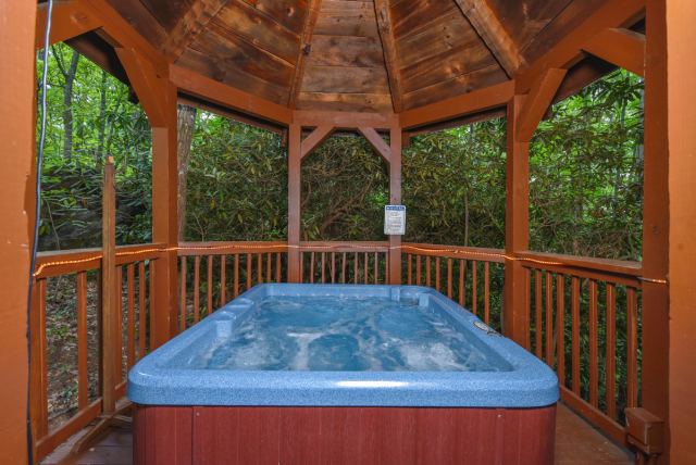 Lazy Bear Cabin