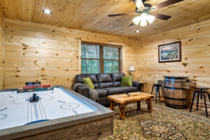 Arcade and Sleeper Sofa
