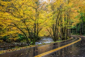 road running next to the Little River