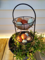 Fresh eggs may be waiting for your arrival. Seasonal. 