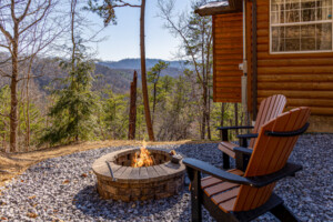 Firepit with Mt. LeConte View