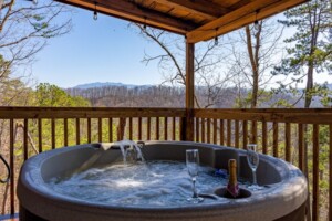 Secluded Hottub with Mt. LeConte View