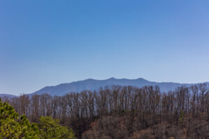 Mt. LeConte