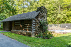 Dreamy Bear Lodge