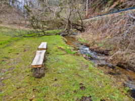 Serene creek runs along the entire property.