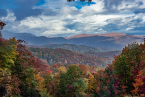 While on Roaring Fork scenic drive