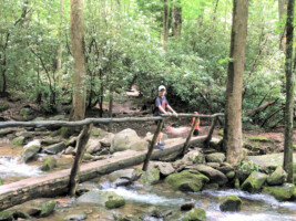 Or venture onto the trailheads along Roaring Fork to soak in the scenery at ground level