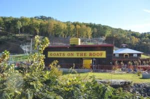 Goats on the Roof building in Pigeon Forge