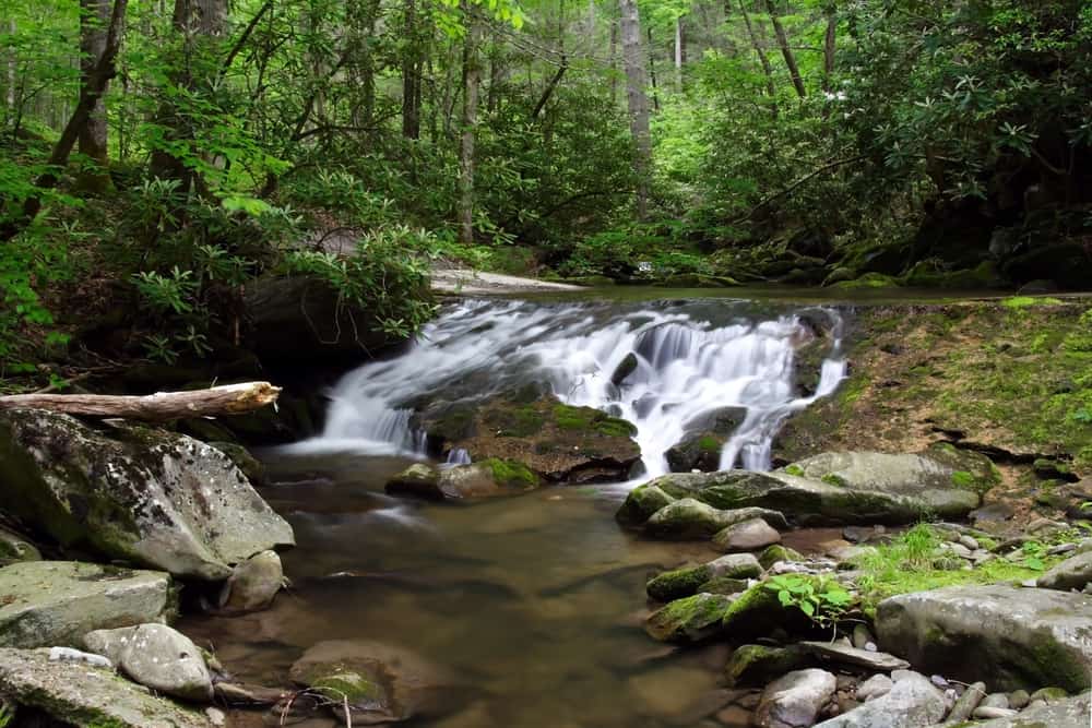 Parson Branch Road in the Smoky Mountains