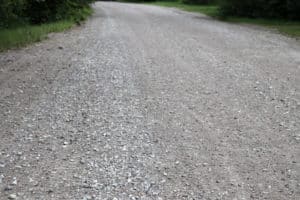 gravel road in the trees