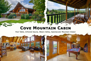 Cove Mountain Cabin
