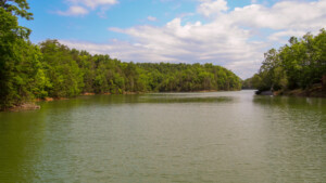 Lake Douglas access ~1min drive from cabin.