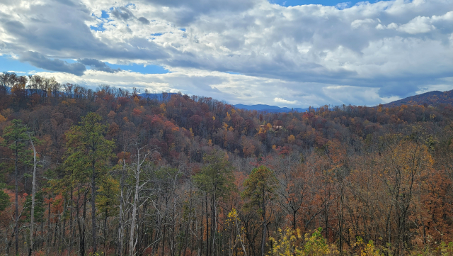 Late November views: no other cabins obstructing your view at The Overlook!