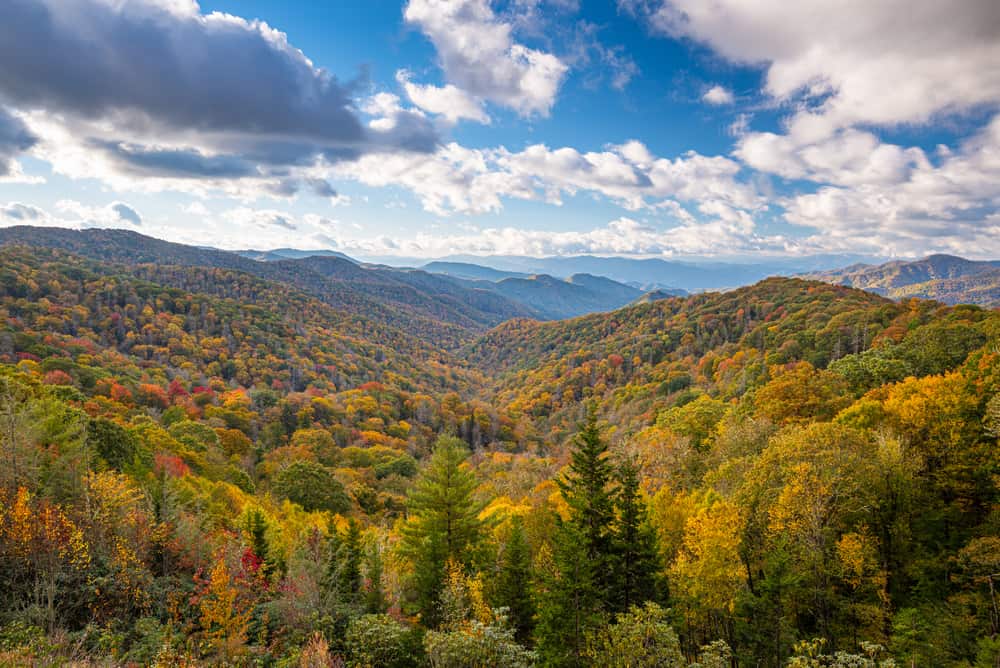 fall in the Smoky Mountains