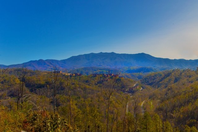  Unobstructed view of Mt. LeConte