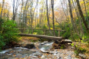 Alum Cave Trail in the Smoky Mountains