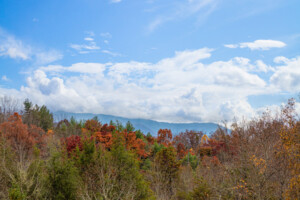 Ridge View Lodge - Gatlinburg