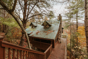 Country Bear Cabin