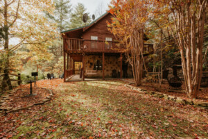 Country Bear Cabin