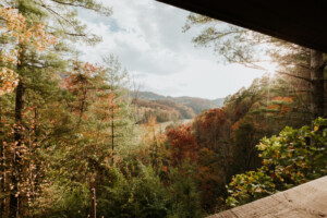 Country Bear Cabin