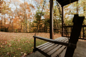 Country Bear Cabin