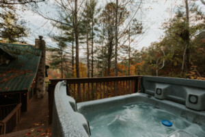 Country Bear Cabin