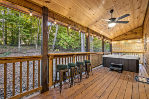 Enjoy the tranquility of the national park while soaking in the covered hot tub on the rear deck!