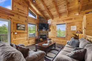 Living Room with TV and Fireplace